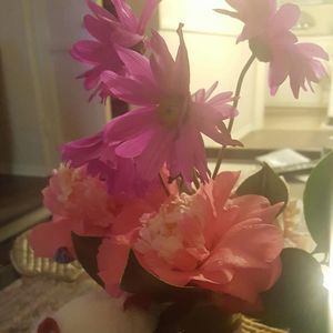 Meet your Posher, Karim